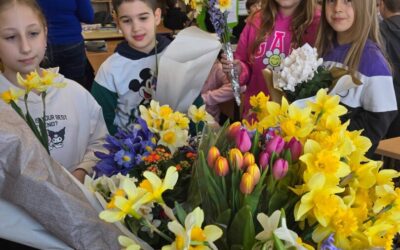 GIORNATA DEI NARCISI