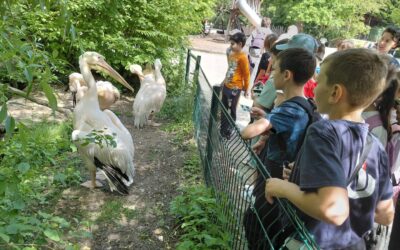 USCITA DIDATTICA ALLO ZOO DI LUBIANA